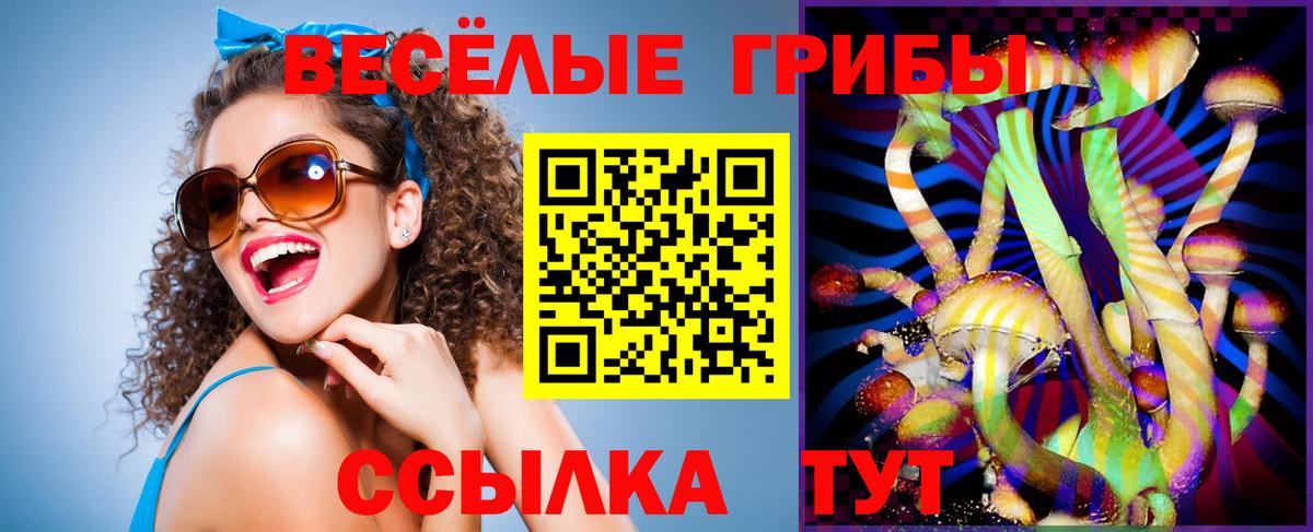продажа наркотиков  Галлюциногенные грибы GOLDEN TEACHER  Вход с VPN  Соль-Илецк 